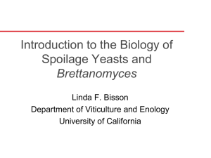 Introduction to the Biology of Spoilage Yeasts and Brettanomyces