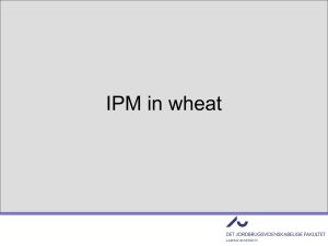 IPM experiences from Denmark