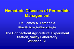 More Plant-parasitic Nematode Management Slides