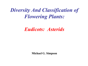 Diversity And Classification of Flowering Plants: Eudicots: Asterids