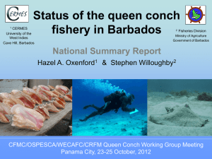 Barbados Conch Fishery-WG 2012