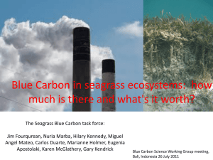 Blue Carbon in seagrass ecosystems