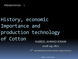 NABEEL AHMAD IKRAM COTTON PRESENTATION