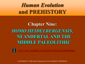 11.6 MB - Human Evolution and Prehistory, Second Canadian Edition
