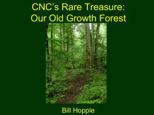 April 2012 – Old Growth Forests - The Miami Group of Sierra Club