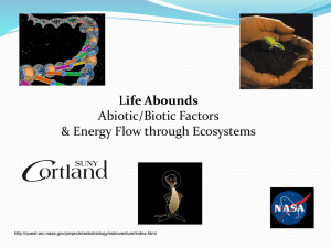 Changing Gears—Abiotic vs. Biotic Factors