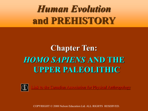 10.9 MB - Human Evolution and Prehistory, Second Canadian Edition