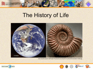 The History of Life PowerPoint