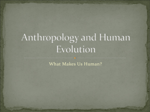 Anthropology and Human Evolution