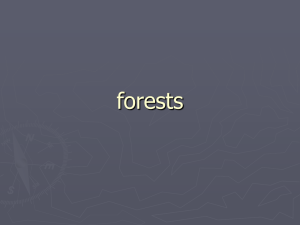 forests - University of Puget Sound