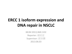 ERCC 1 isoform expression and DNA repair in NSCLC NEJM 2013