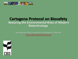 Protocol Presentation - Biosafety Clearing-House