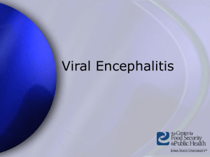 Viral Encephalitis Presentation - The Center for Food Security and