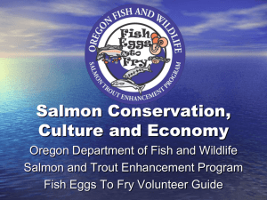 Salmon Conservation, Culture, and Economy