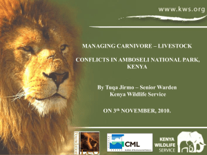 Managing carnivore-livestock conflicts in Amboseli National Park