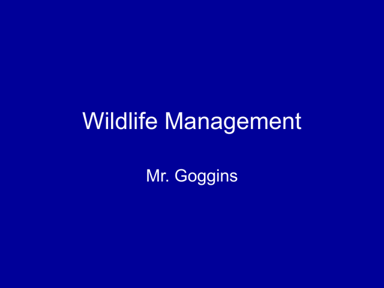 Wildlife Management