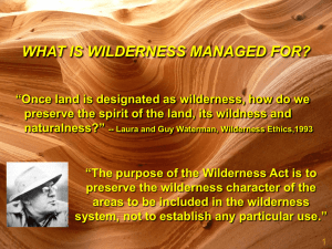 WHAT IS WILDERNESS CHARACTER?