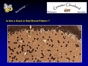 Class PowerPoint Part 2 - Greater Cleveland Beekeepers Association