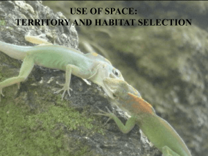 Use of Space: Territory and Habitat Selection