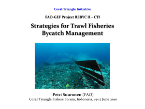 Coral Triangle Initiative FAO-GEF Project REBYC II – CTI Strategies