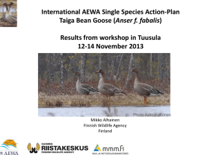 AEWA Single Species Action-Planning Workshop