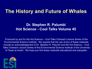 The History and Future of Whales - Environmental Science Institute