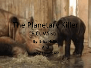 The Planetary Killer