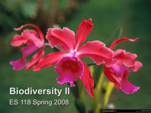 Biodiversity II
