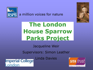London House Sparrow Parks Project - APRIL