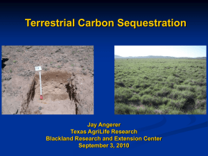 Rangeland Carbon Sequestration