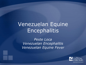 VenezuelanEquineEncephalitis - The Center for Food Security