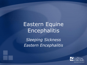 Eastern Equine Encephalitis - The Center for Food Security and