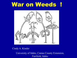 Weed Management ! ? - University of Idaho Extension