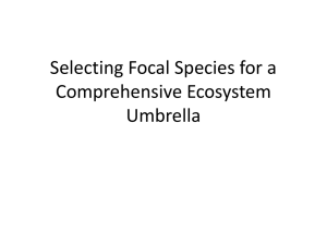 Selecting Focal Species