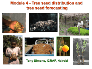 M3S4 Tree Seed Distribution