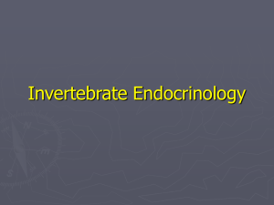 endocrinology(www.mahmoudvand.ir