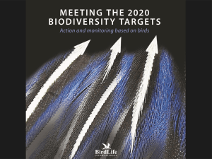 Meeting the 2020 biodiversity targets
