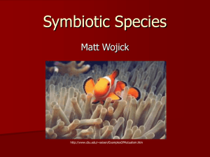 Symbiotic Species