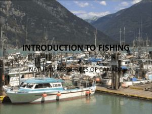 Introduction to Fishing