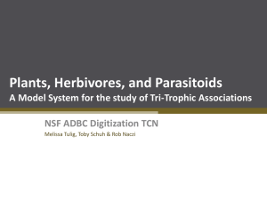 Plants, Herbivores, and Parasitoids: A Model System for the