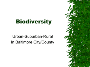 Biodiversity - Baltimore Ecosystem Study
