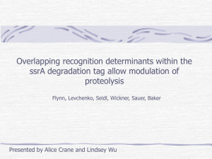 SsrA Tag ClpX Recognition