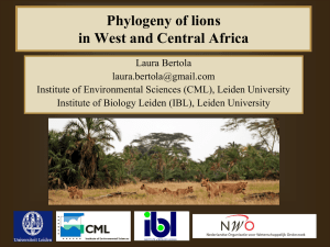 in West and Central Africa - Large Carnivore Initiative West