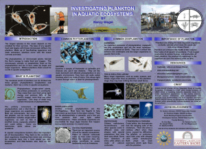 Investigating Plankton in Aquatic Ecosystems