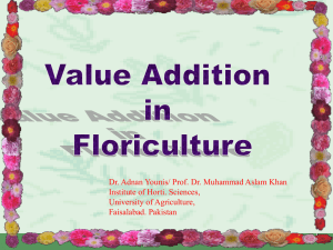 Value-added Agriculture