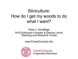 Silviculture for Landowners