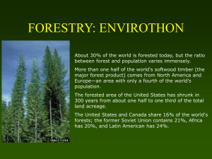 Forestry Training Power Point