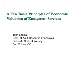 A Few Principles of Economic Valuation of Ecosystem Services