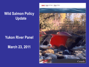 WSP - Fisheries and Oceans Canada