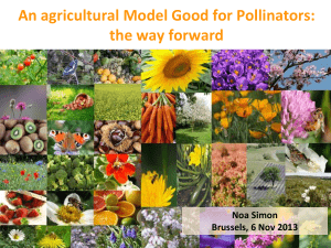 An agricultural Model Good for Pollinators: the way forward